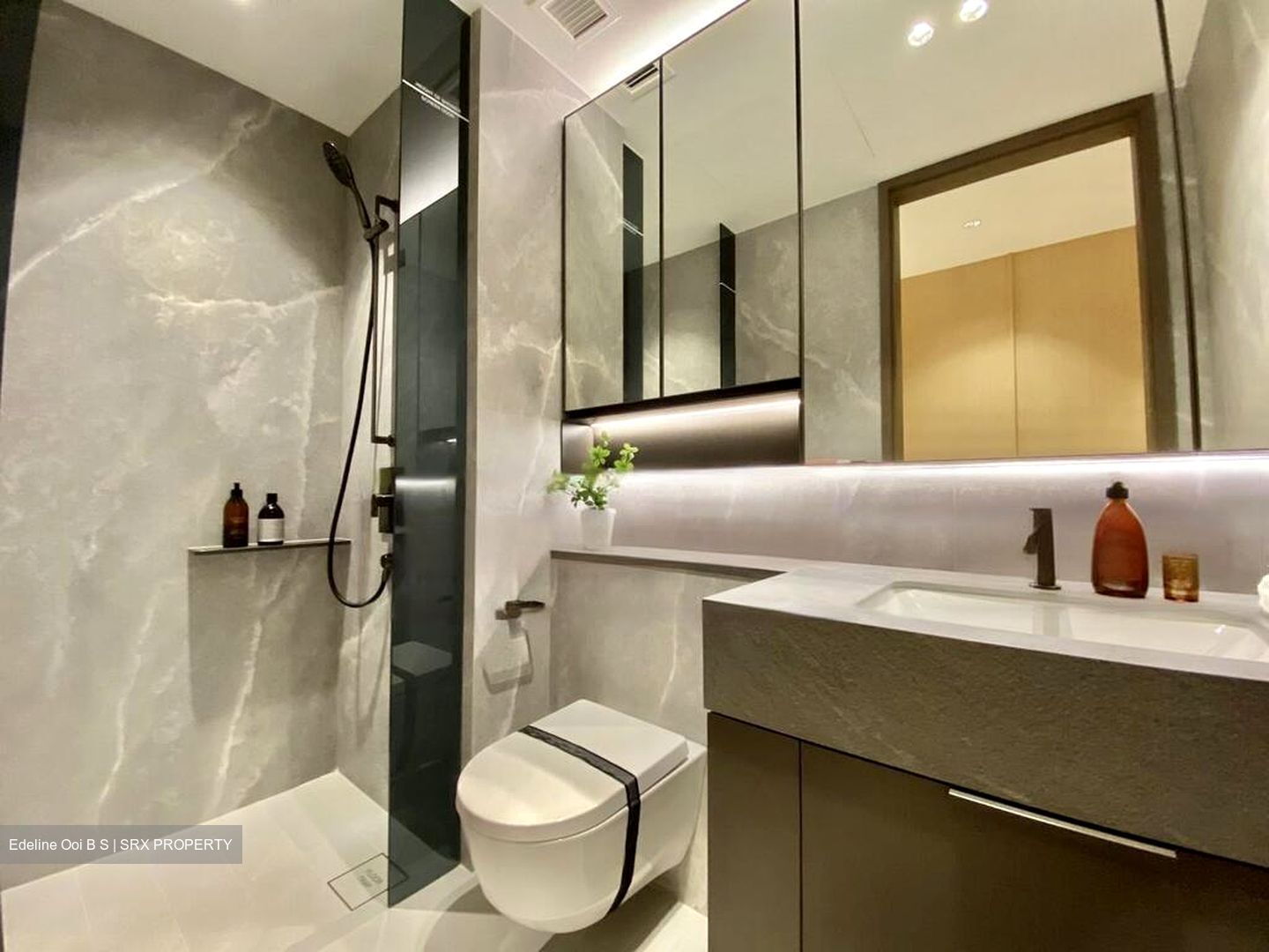 Promenade Peak (D3), Condominium #538936051